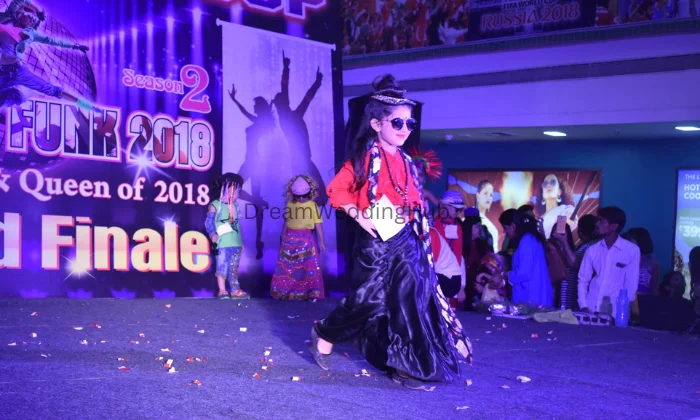 Sanskriti Dance Academy